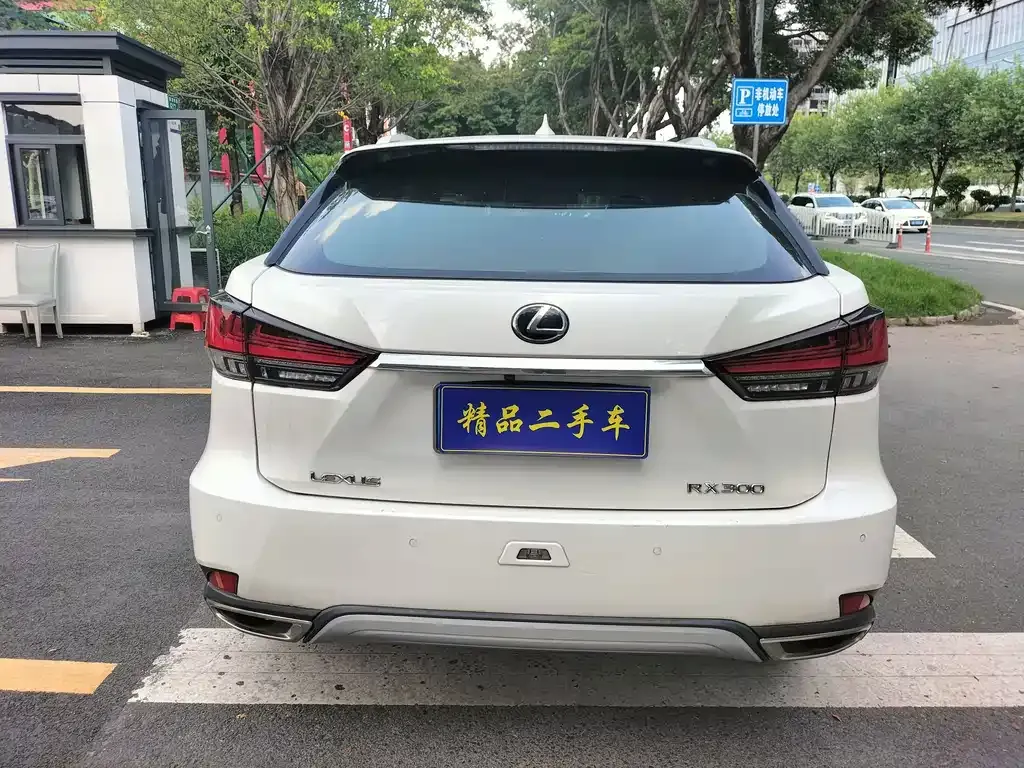 Lexus RX — фото 9