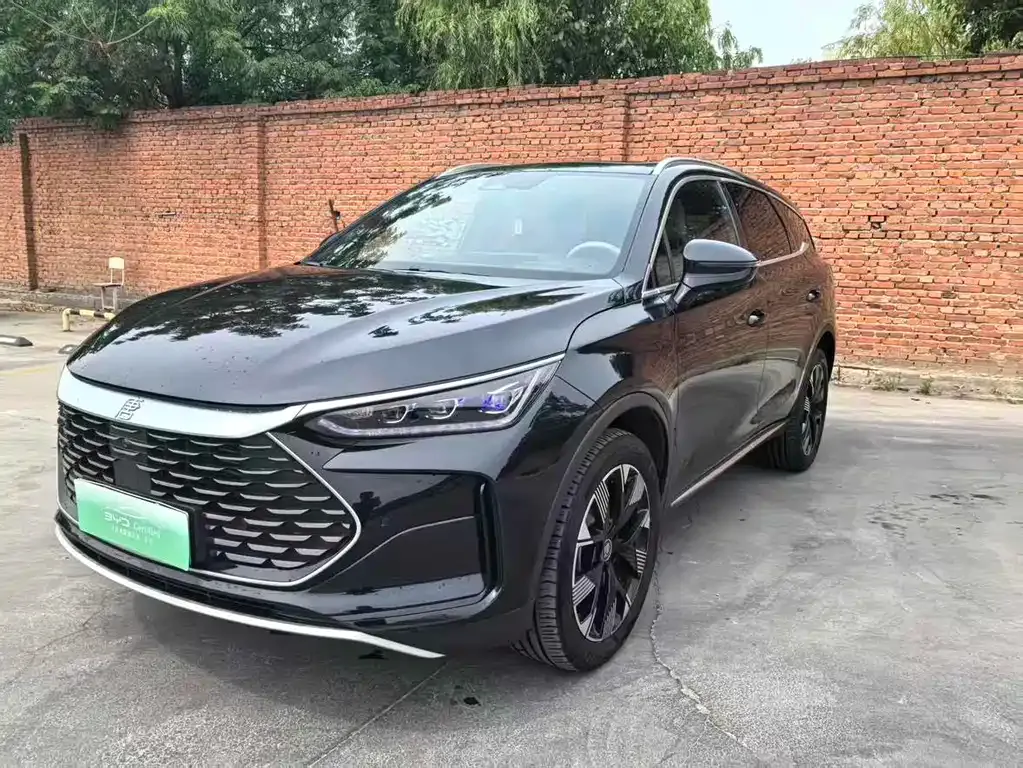 BYD Tang New Energy — фото 1
