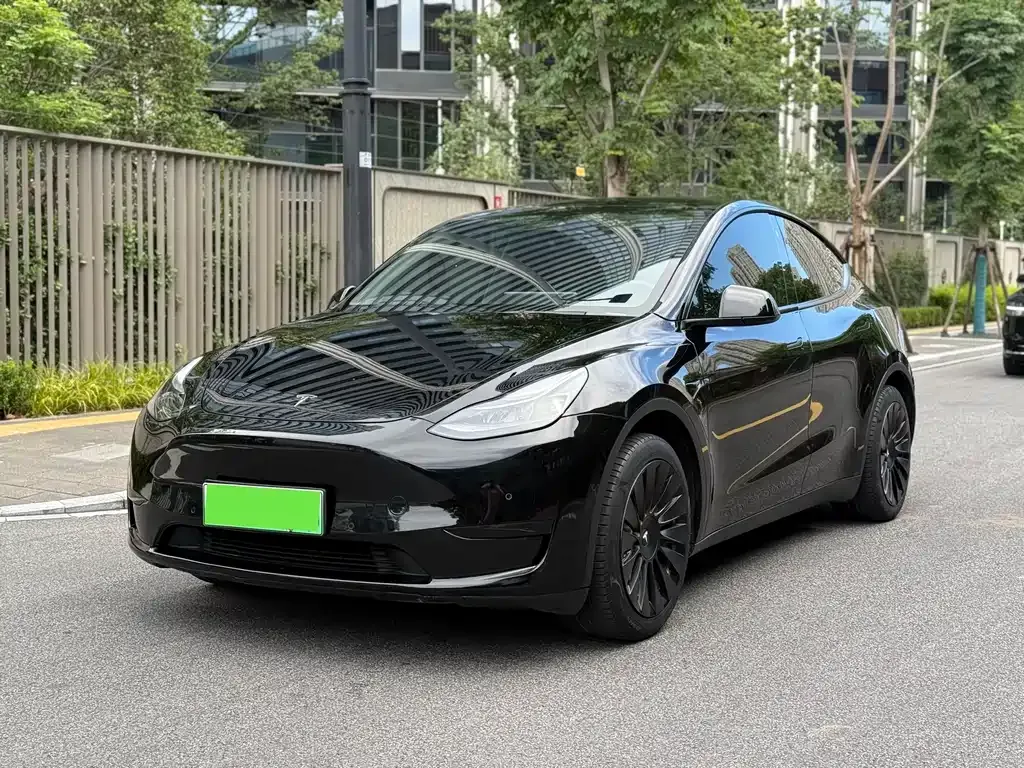 Tesla Model Y — фото 1