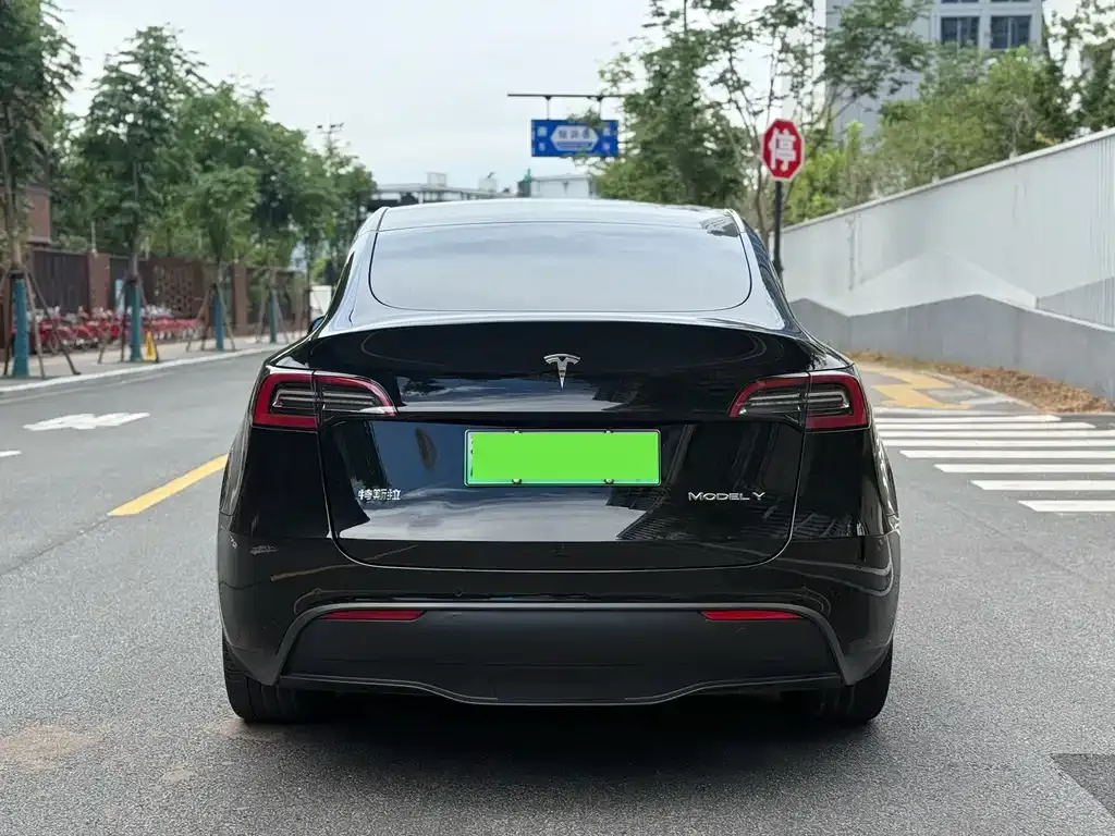 Tesla Model Y — фото 10