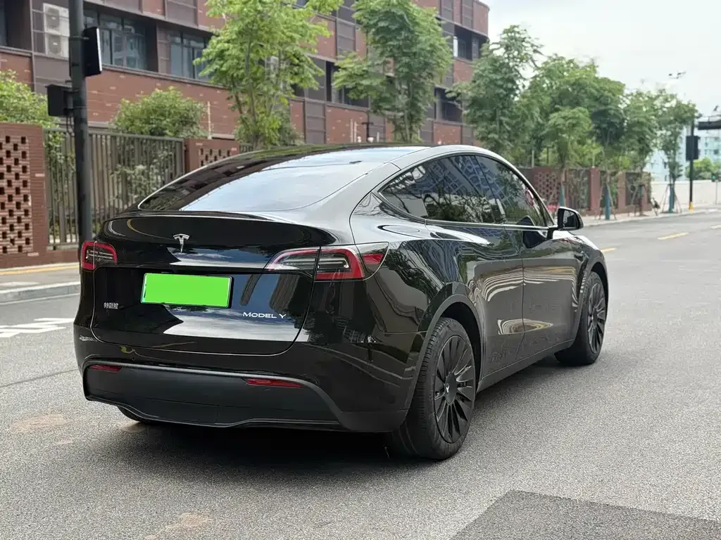 Tesla Model Y — фото 9