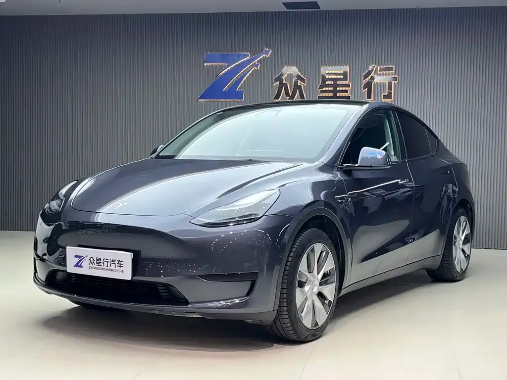 Tesla Model Y — фото 1