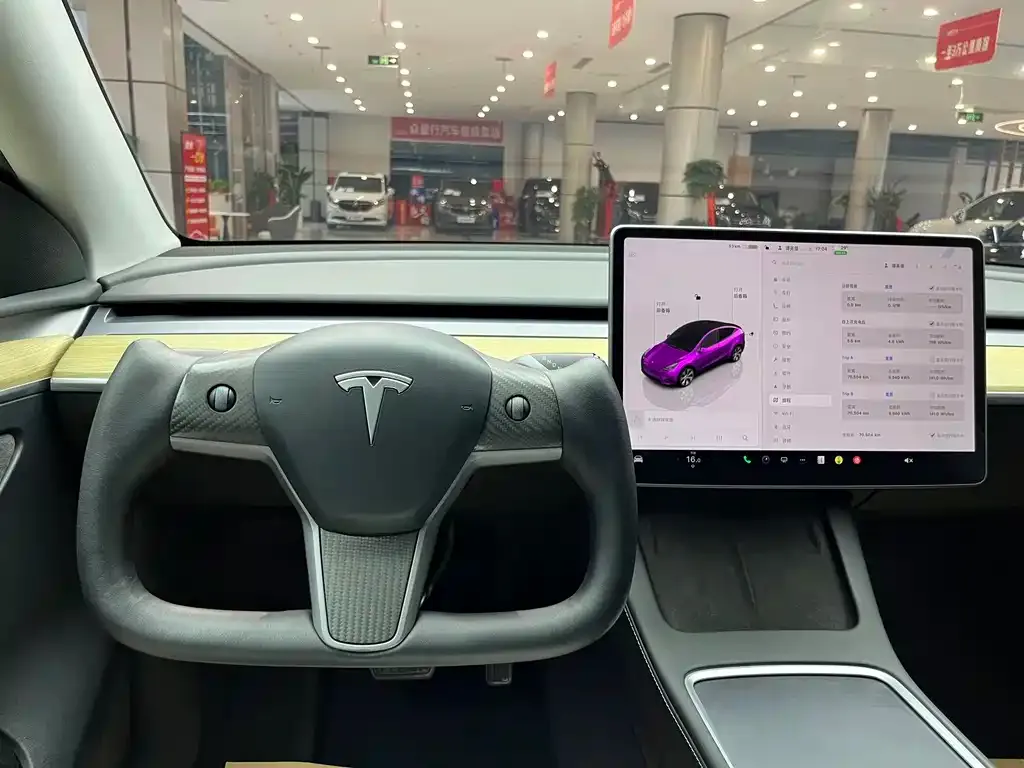 Tesla Model Y — фото 5