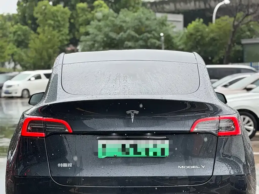Tesla Model Y — фото 9