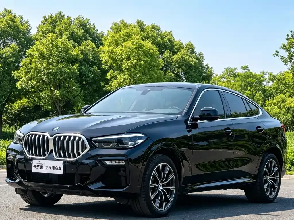 BMW X6 — фото 1