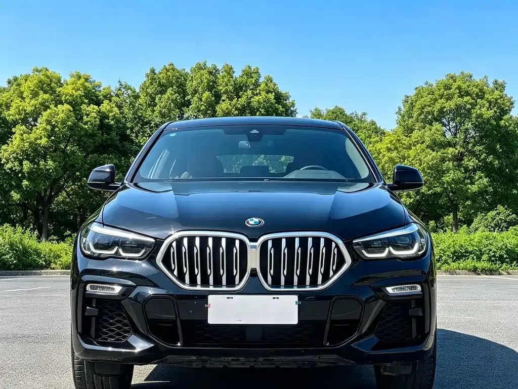 BMW X6 — фото 3