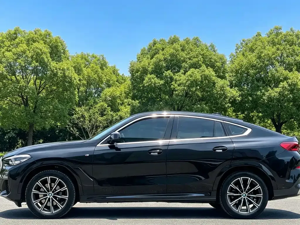 BMW X6 — фото 10