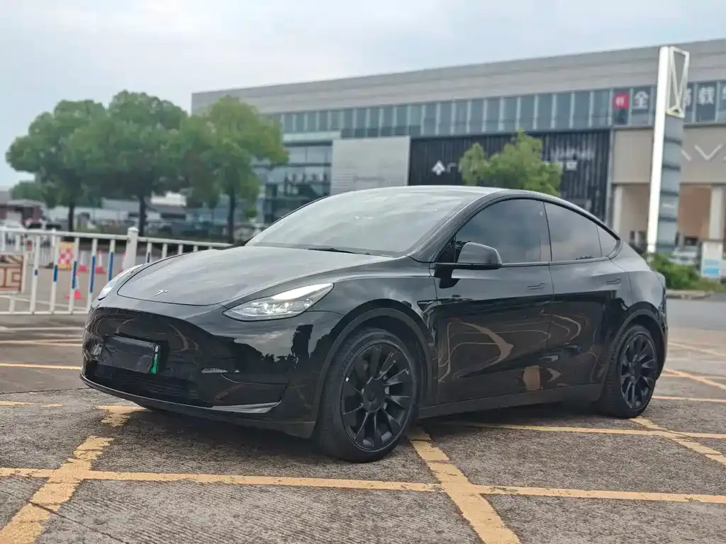 Tesla Model Y — фото 1