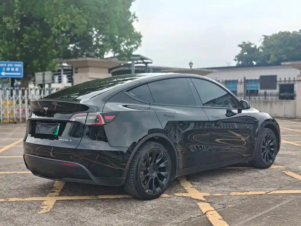 Tesla Model Y — фото 10