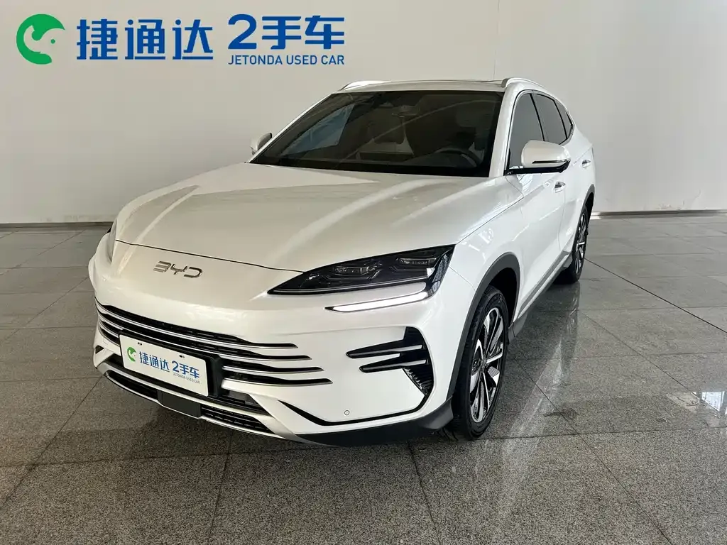 BYD PLUS New Energy — фото 1