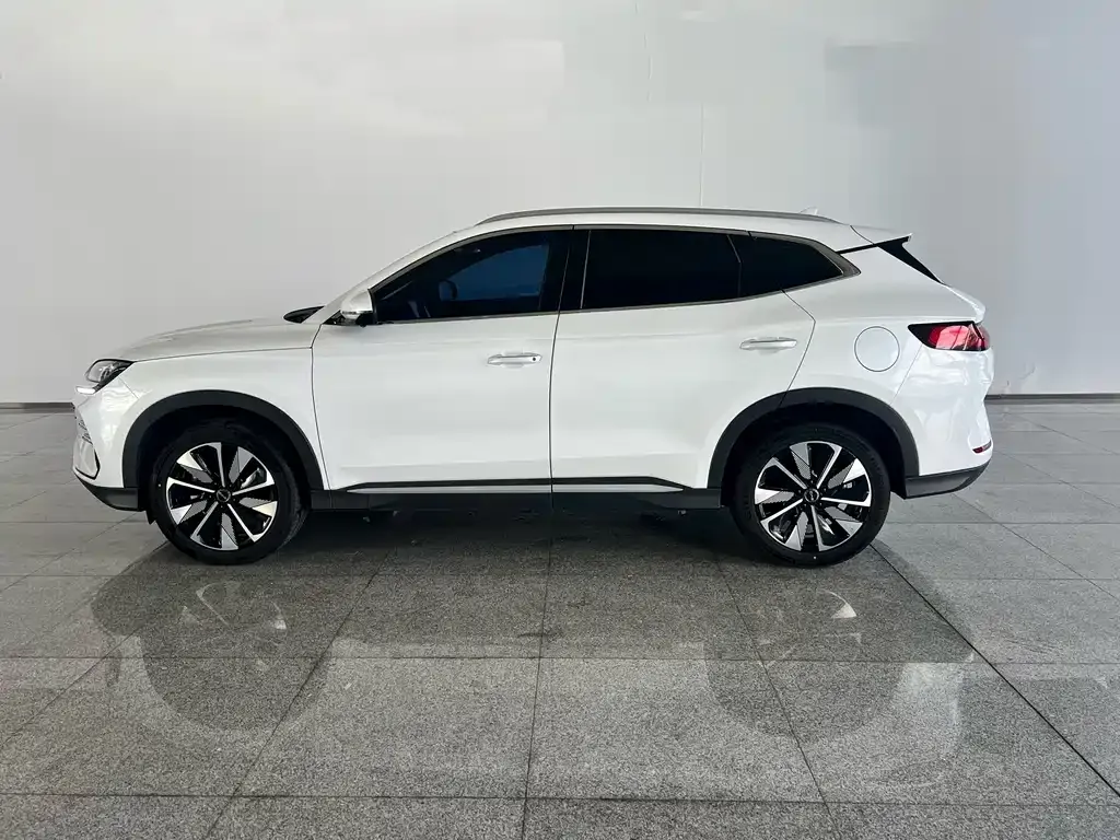 BYD PLUS New Energy — фото 3