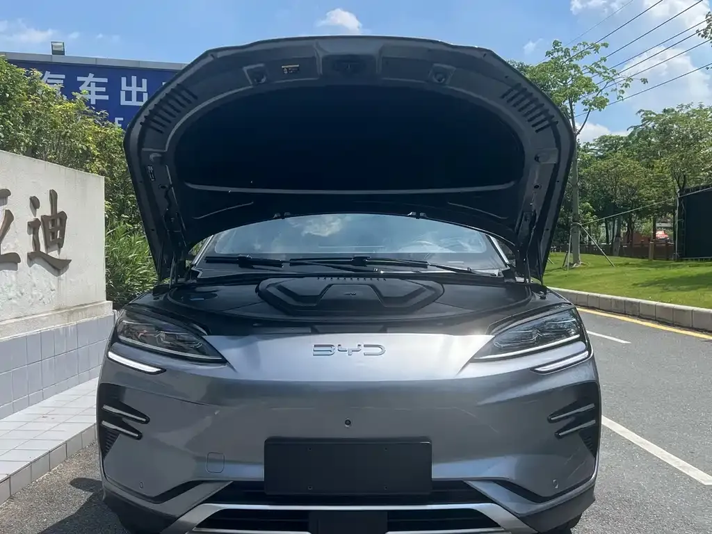 BYD PLUS New Energy — фото 4
