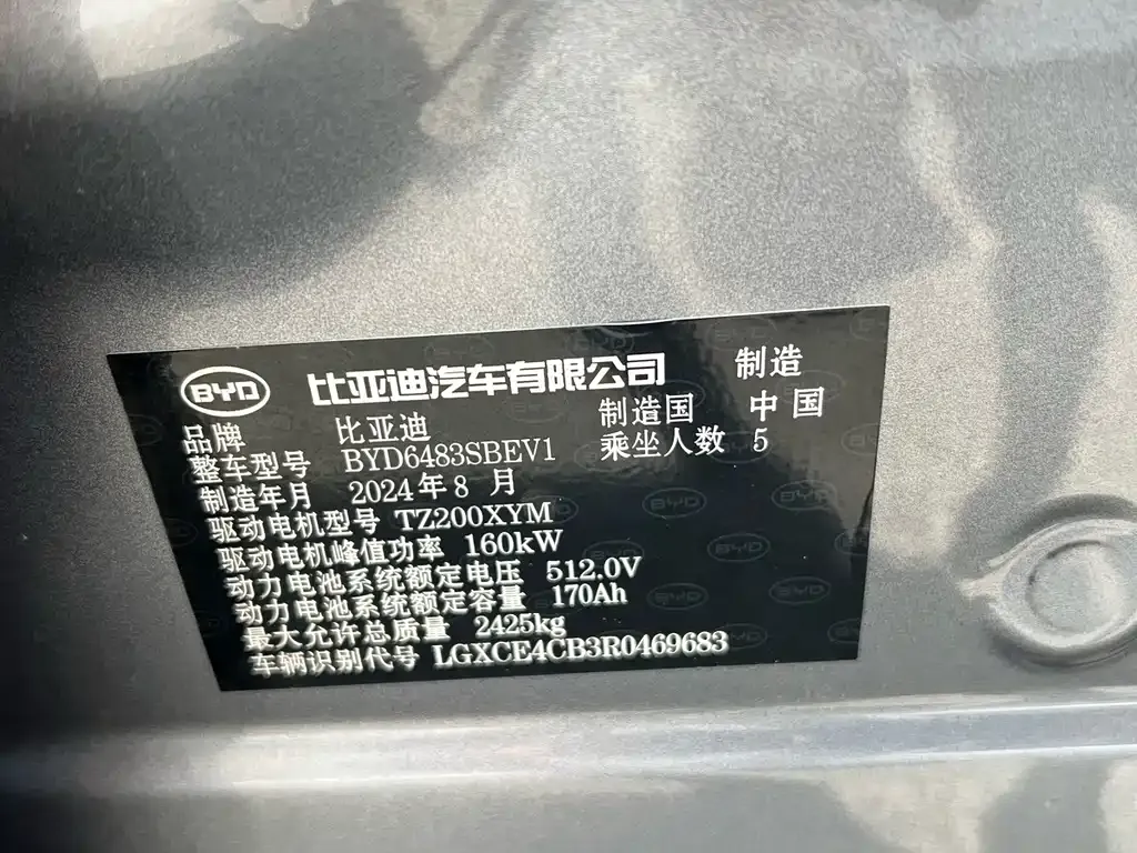 BYD PLUS New Energy — фото 6