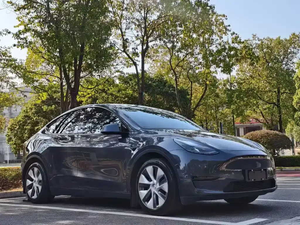 Tesla Model Y — фото 8