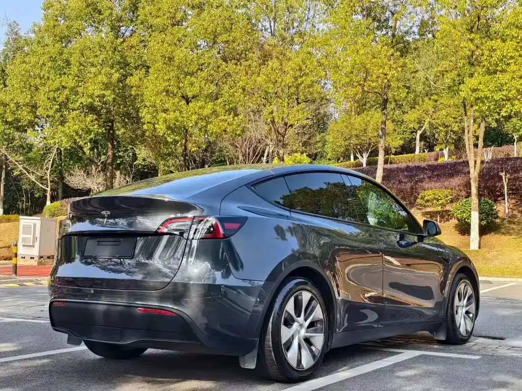 Tesla Model Y — фото 6