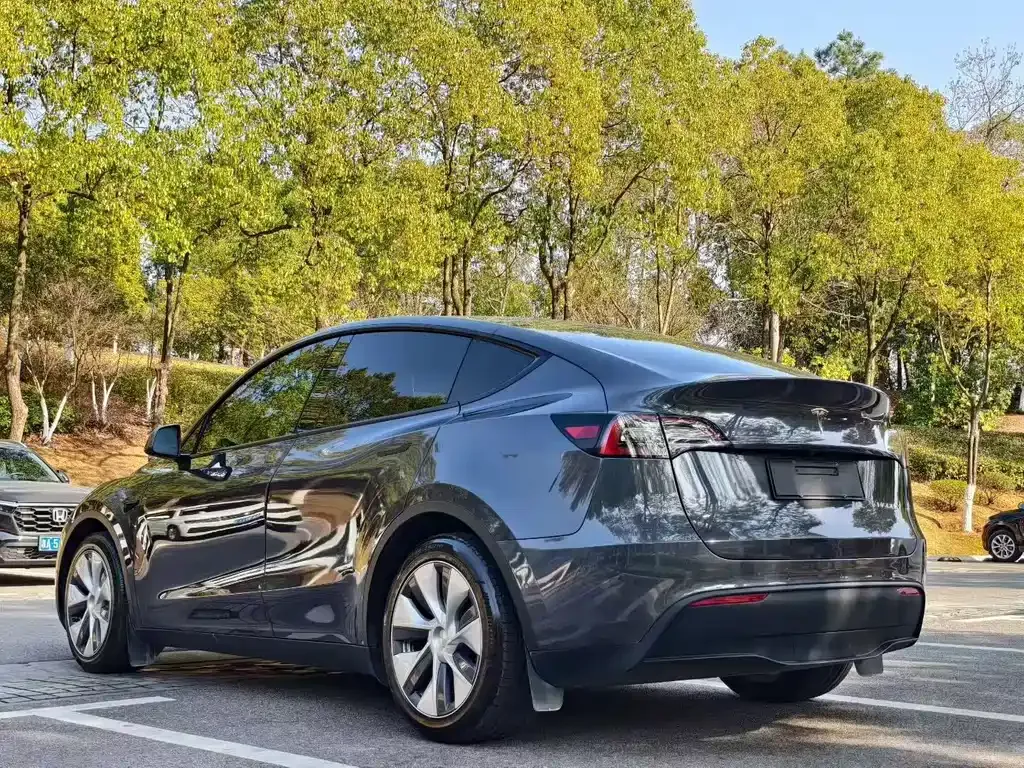Tesla Model Y — фото 9