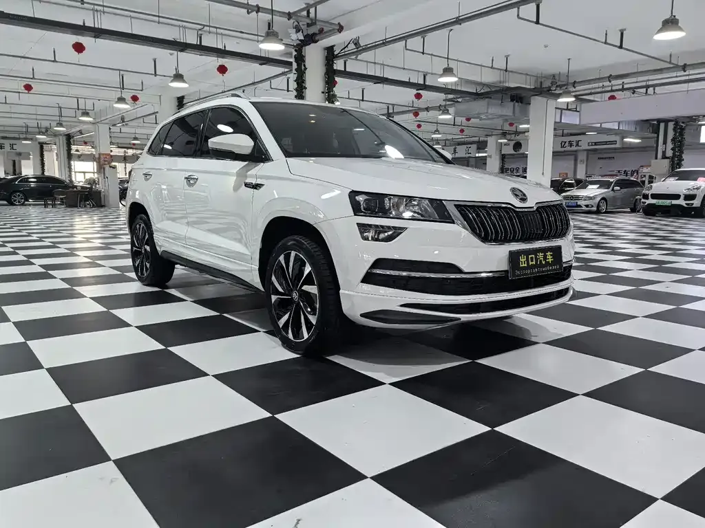 Skoda Karoq — фото 7