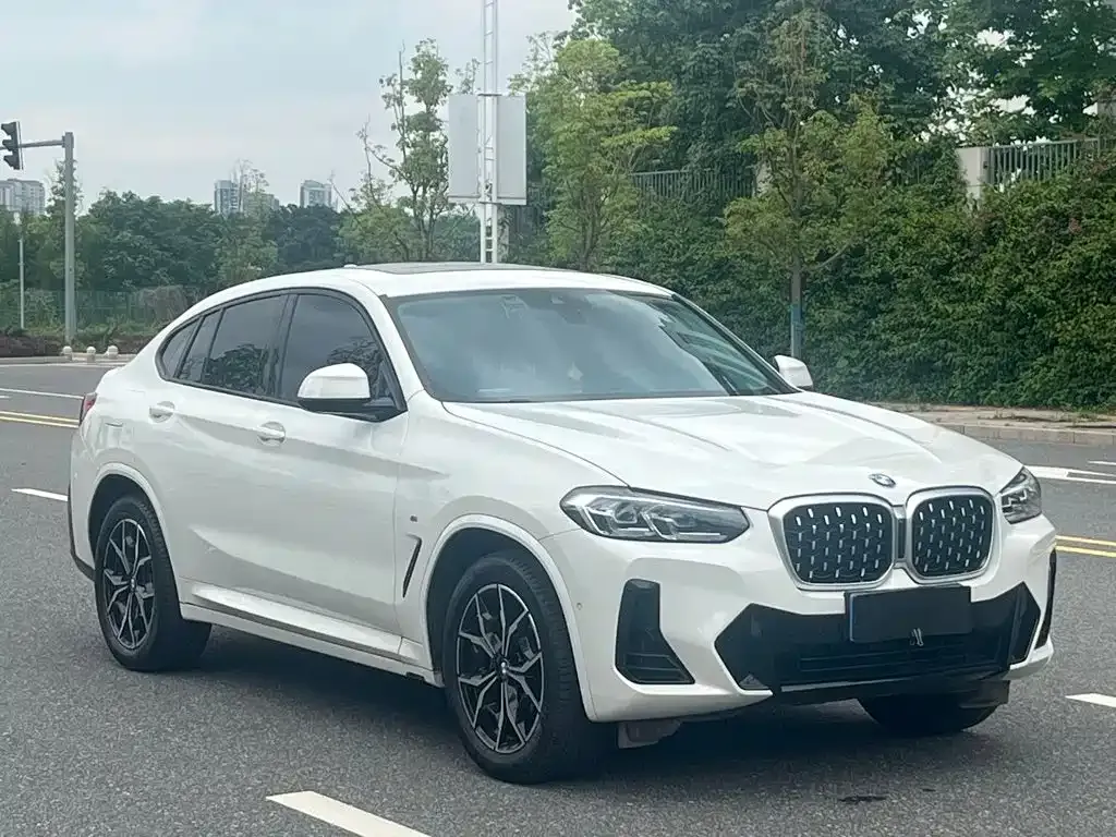 BMW X4 — фото 8