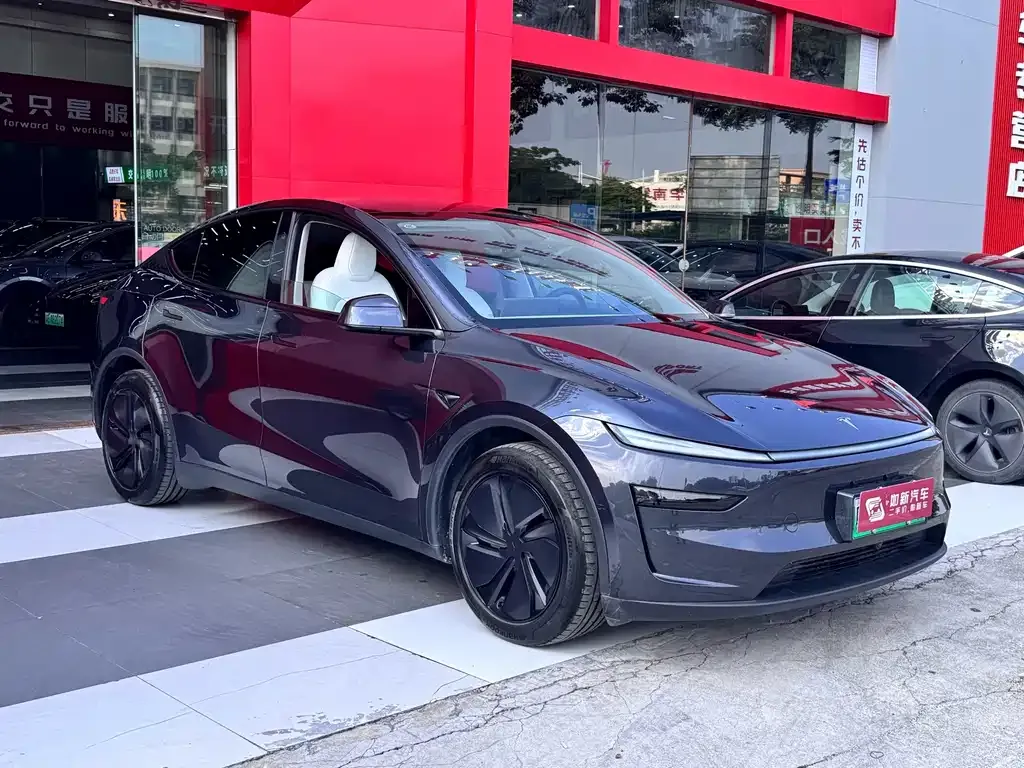 Tesla Model Y — фото 10