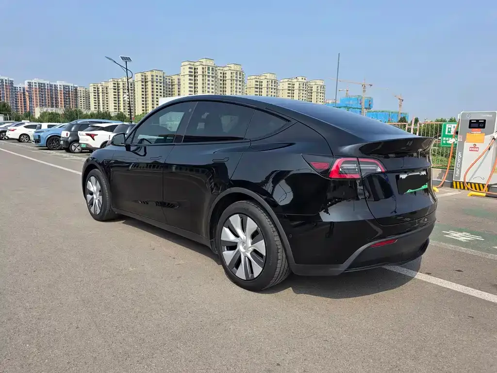 Tesla Model Y — фото 3