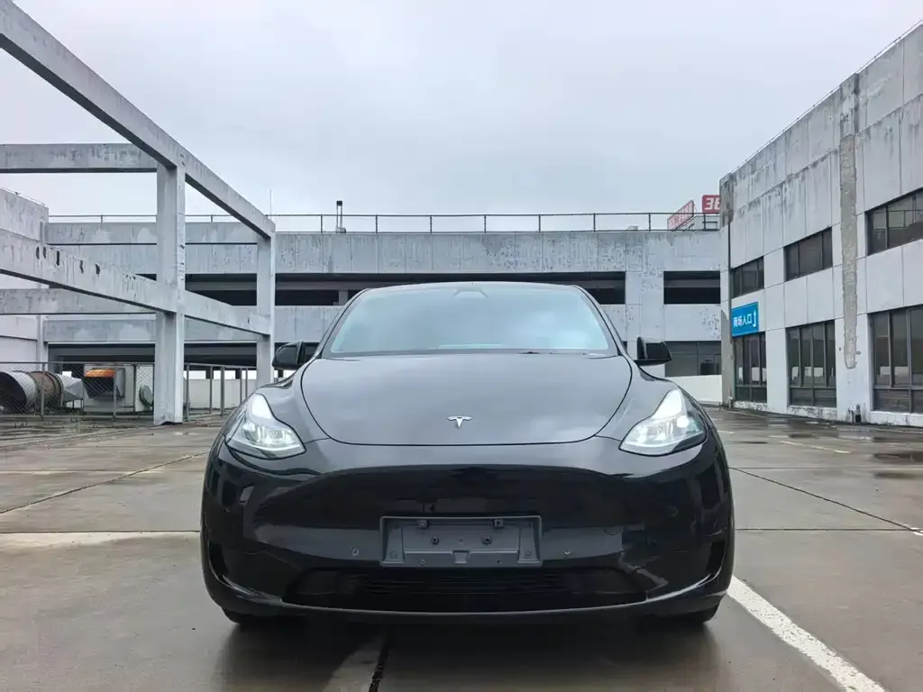 Tesla Model Y — фото 7