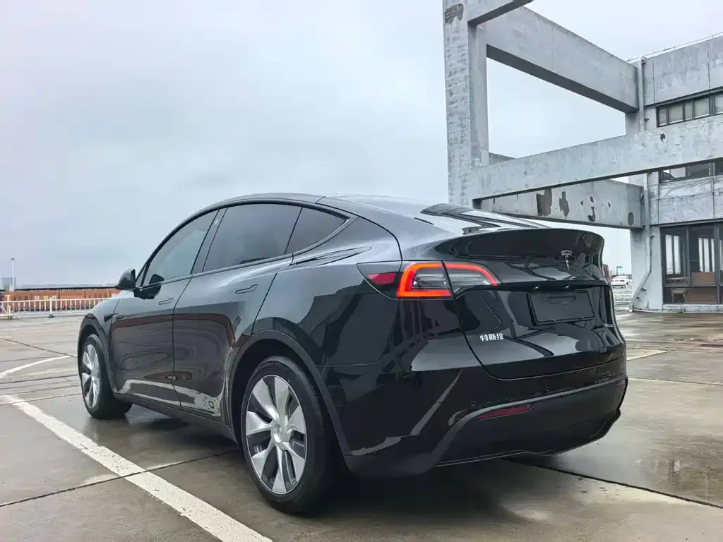 Tesla Model Y — фото 8