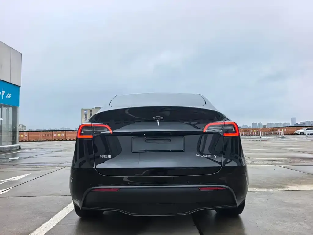 Tesla Model Y — фото 4