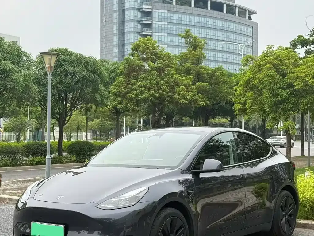 Tesla Model Y — фото 1