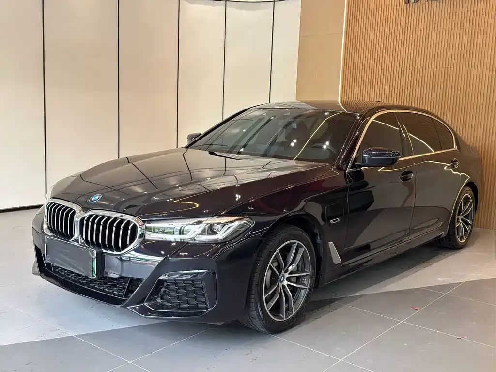 BMW 5 Series New Energy — фото 1