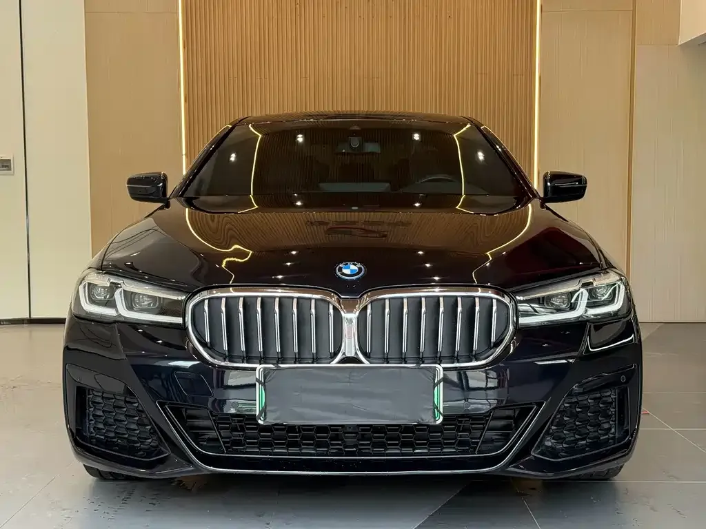 BMW 5 Series New Energy — фото 6