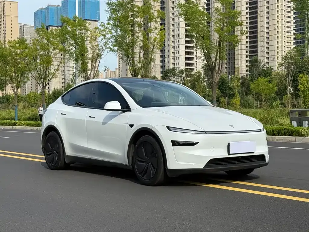 Tesla Model Y — фото 8
