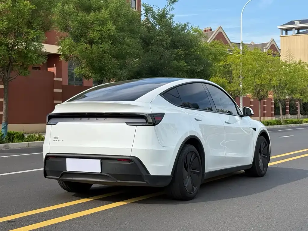 Tesla Model Y — фото 2