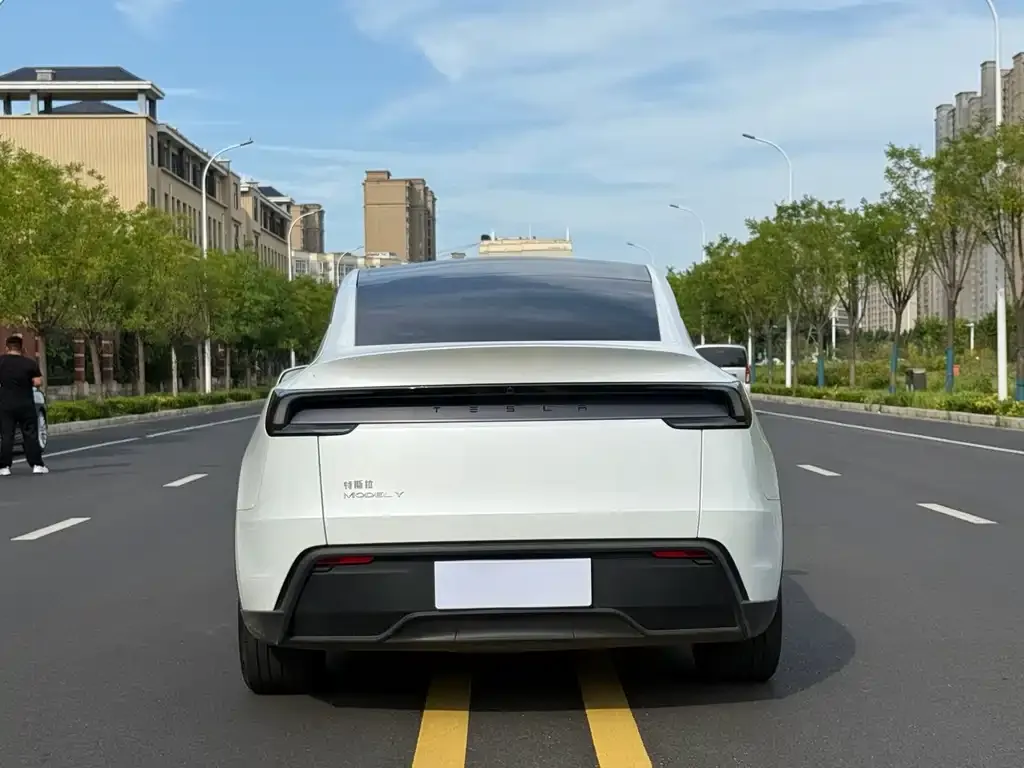 Tesla Model Y — фото 6
