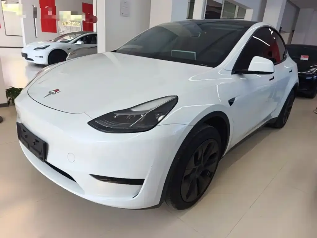 Tesla Model Y — фото 8