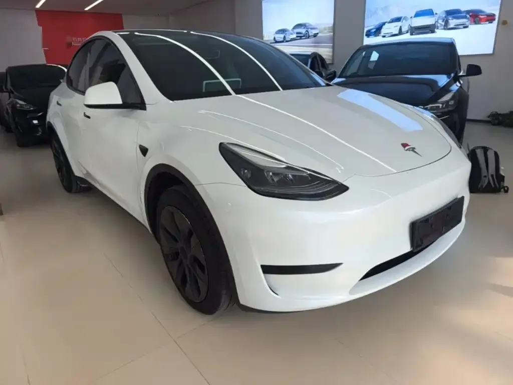 Tesla Model Y — фото 10