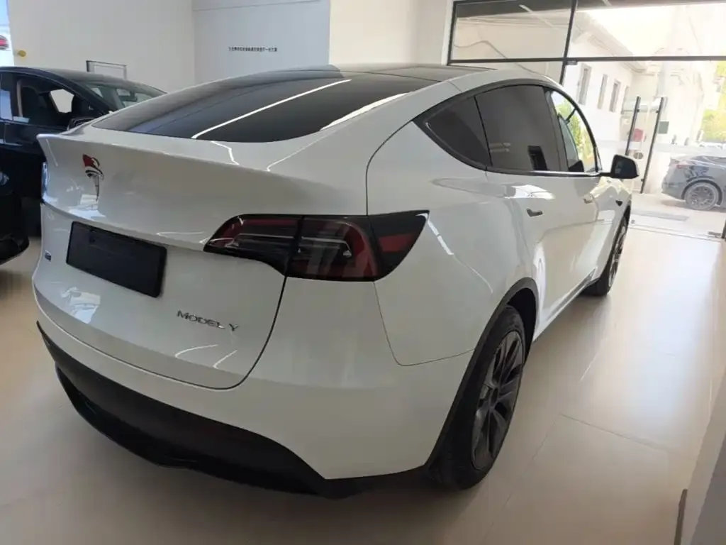 Tesla Model Y — фото 9