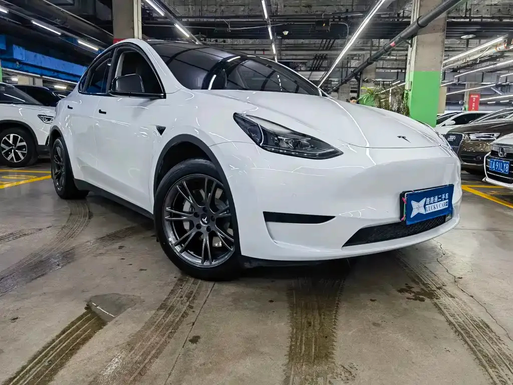 Tesla Model Y — фото 8