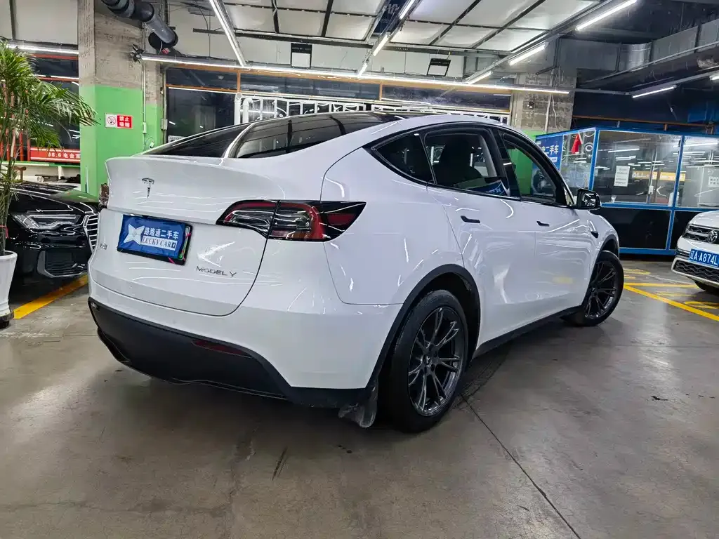 Tesla Model Y — фото 4