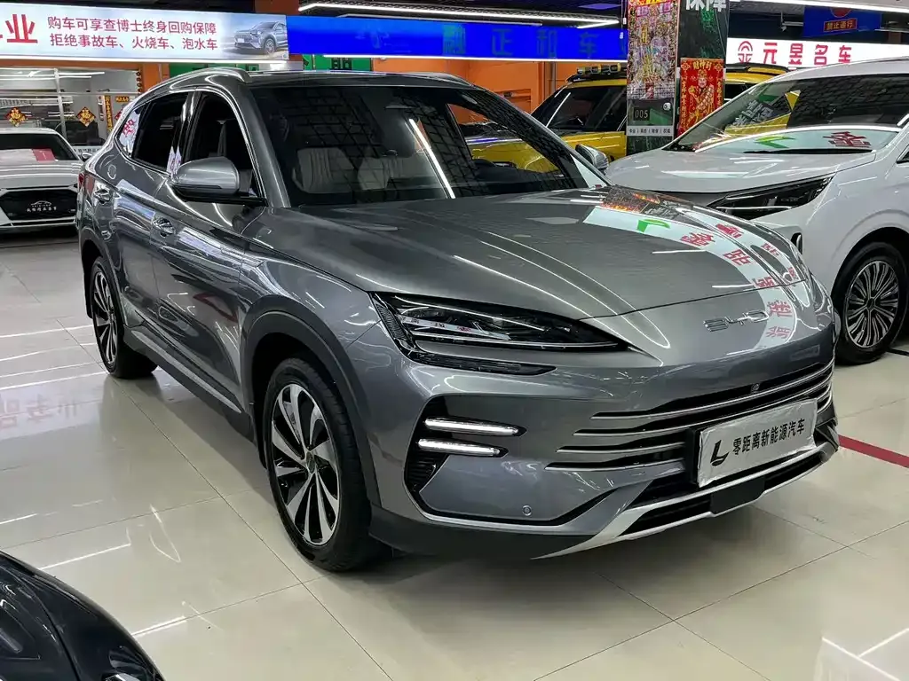 BYD PLUS New Energy — фото 1