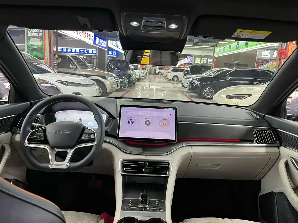 BYD PLUS New Energy — фото 4