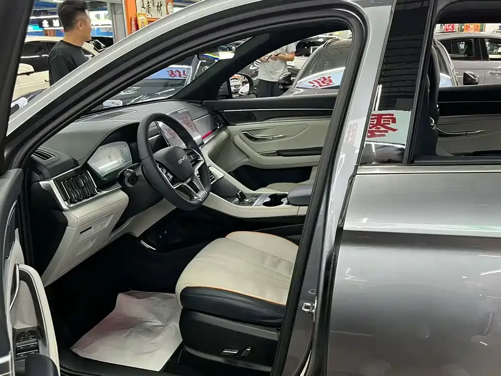BYD PLUS New Energy — фото 6