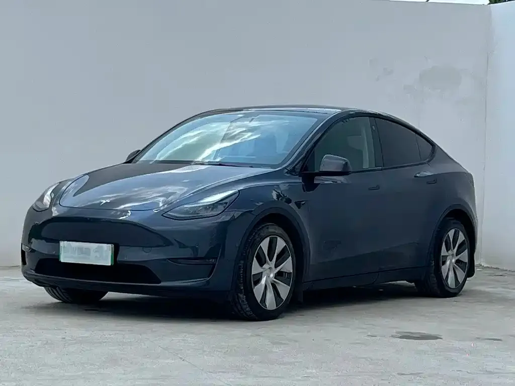 Tesla Model Y — фото 1