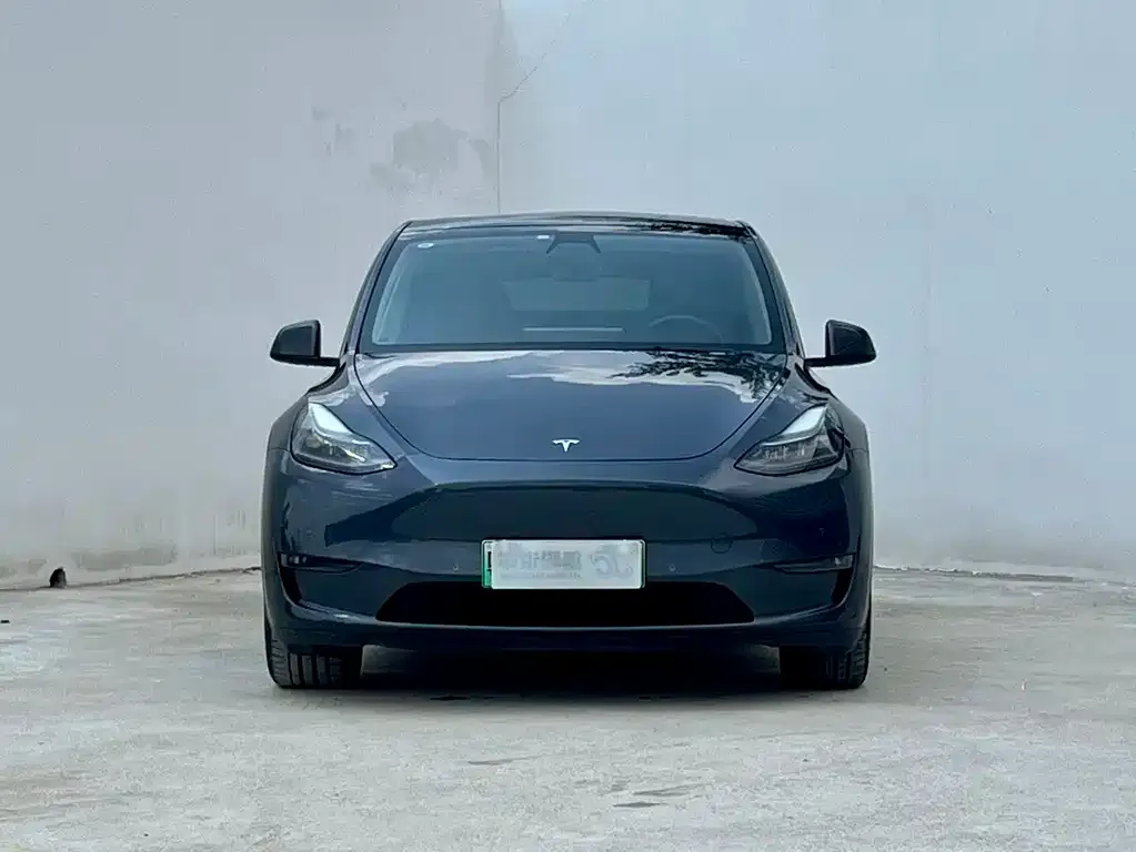 Tesla Model Y — фото 2