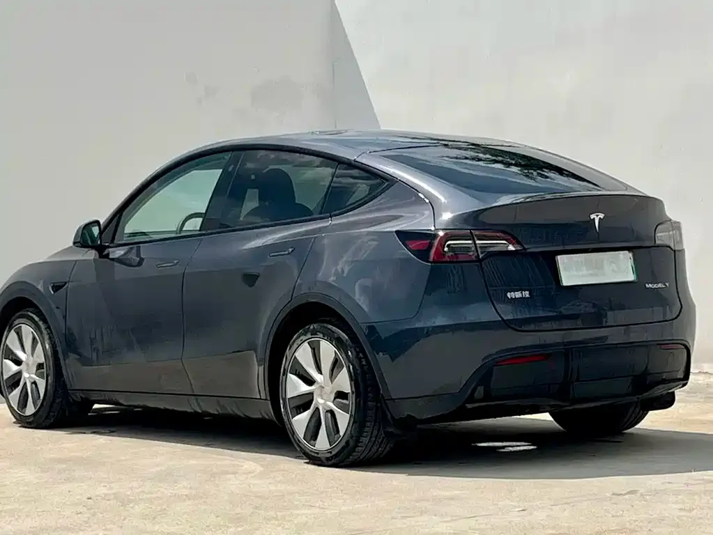 Tesla Model Y — фото 8