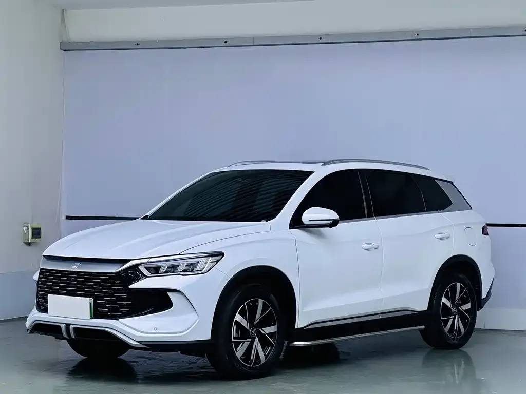 BYD Pro New Energy — фото 1