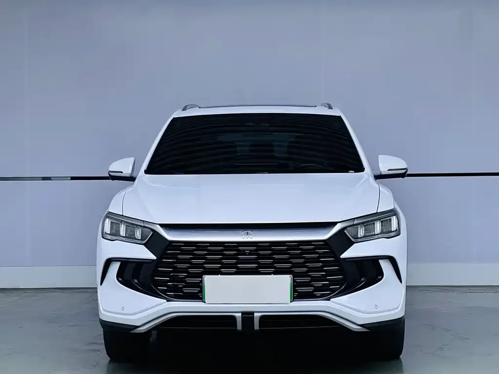 BYD Pro New Energy — фото 6