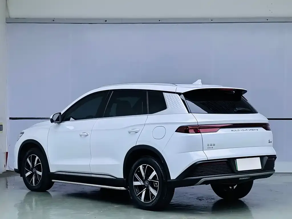 BYD Pro New Energy — фото 8