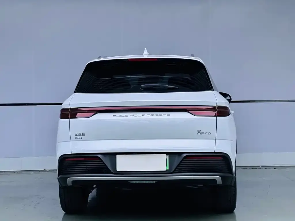 BYD Pro New Energy — фото 7