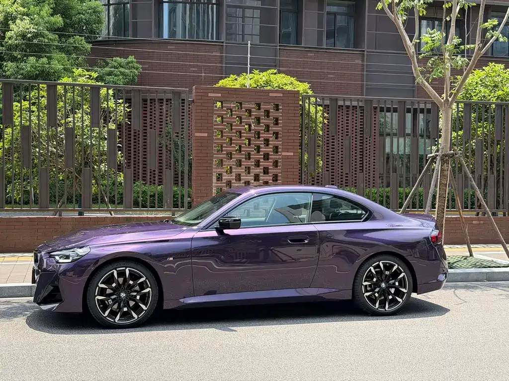 BMW 2 Series (Import) — фото 10