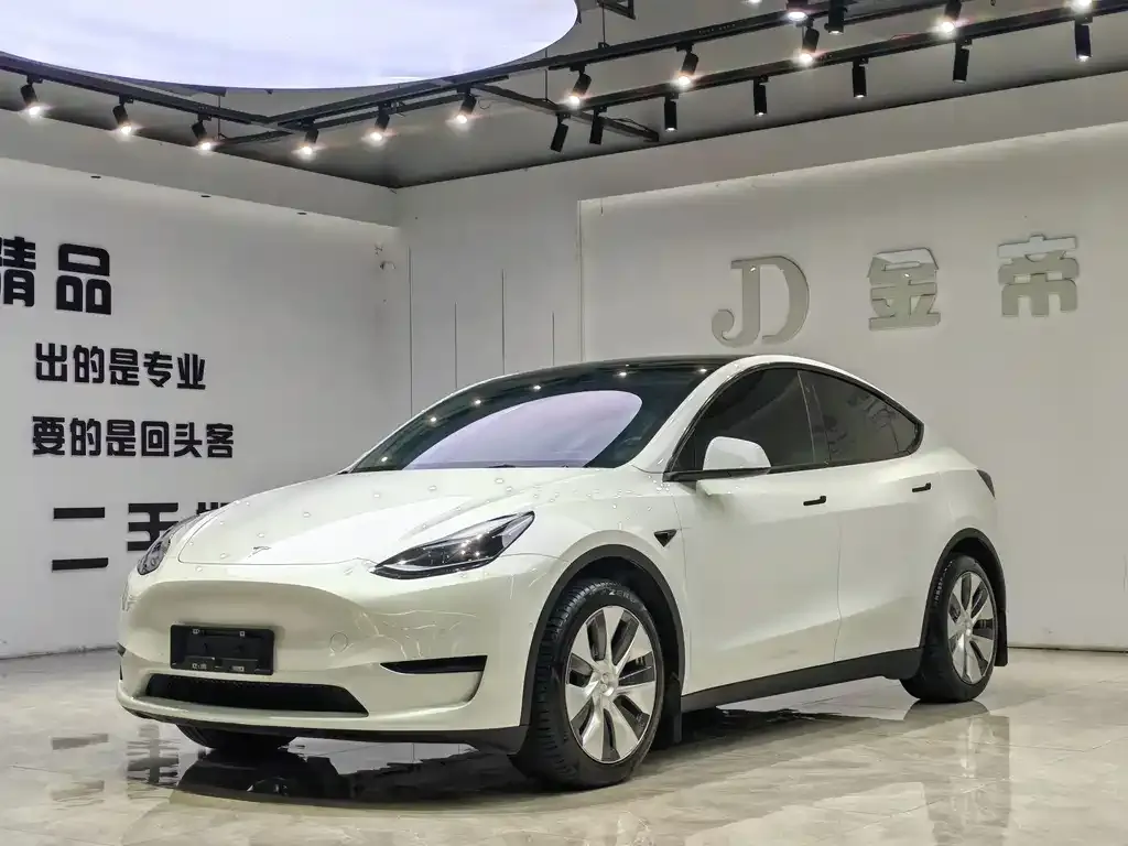 Tesla Model Y — фото 1